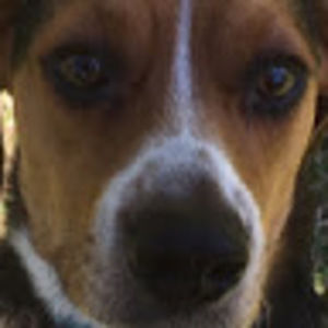 Meet your Posher, Colleen